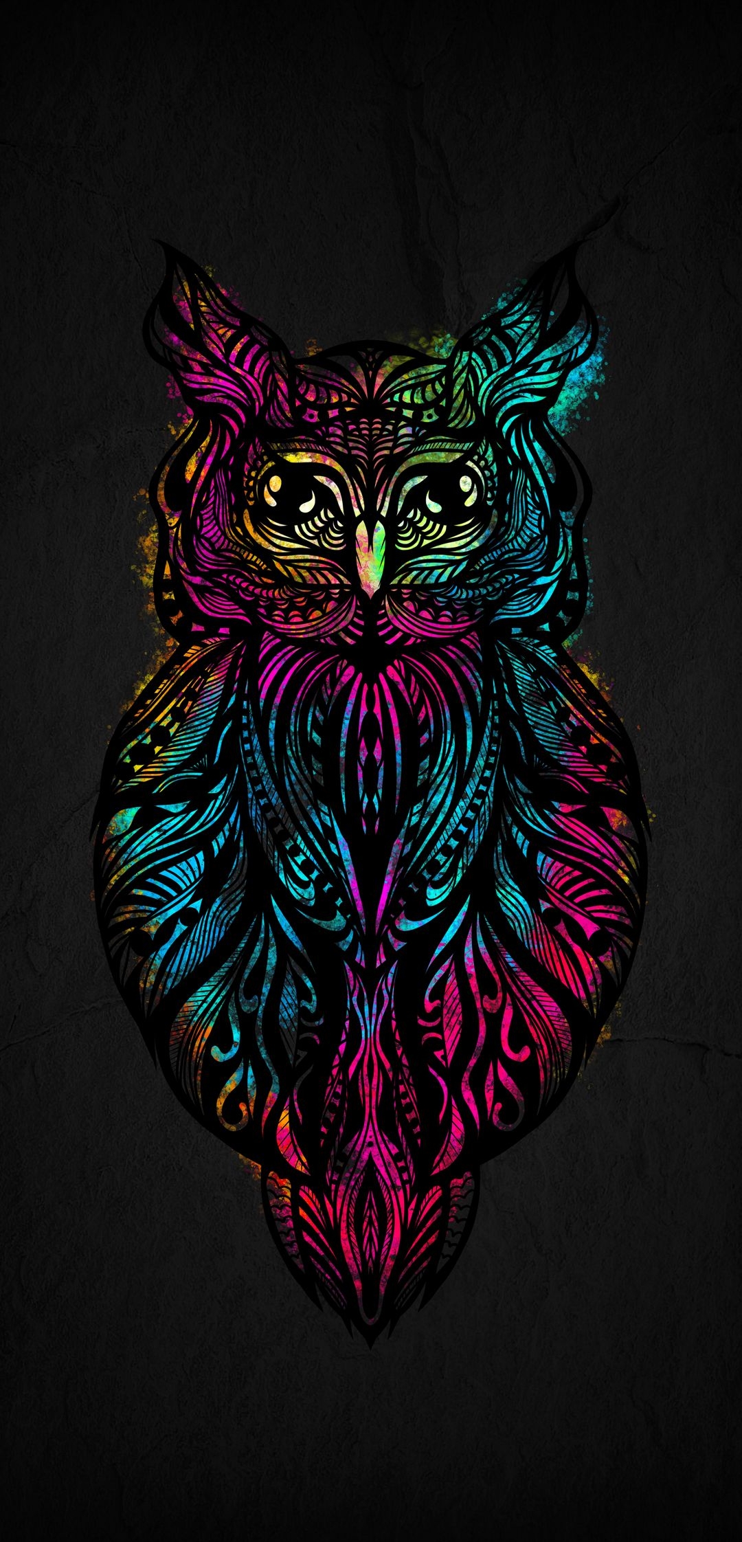 Owl_Animal_Wildlife_HD